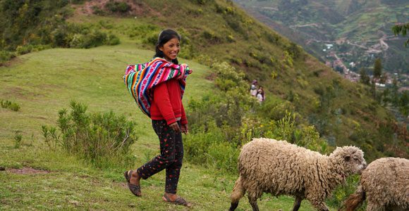 Ein Mädchen im peruanischen Andenhochland mit ihrer Schafherde