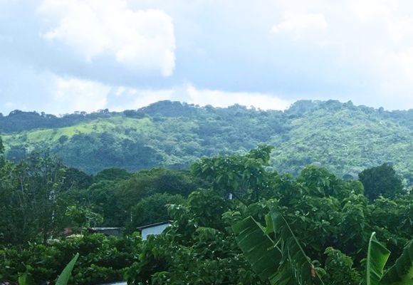 Eine Berglandschaft mit Palmen und ein paar wenigen Häusern.